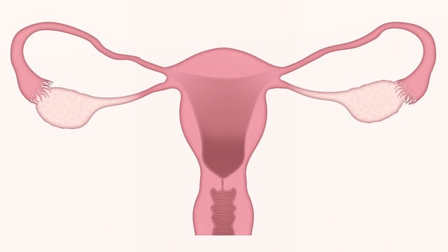 What is Cervical cancer in Telugu